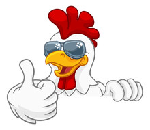 A Chicken Rooster Cockerel Bird Cartoon Character In Cool Shades Or Sunglasses Peeking Over A Sign And Giving A Thumbs Up