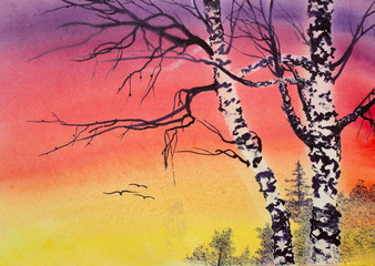 Wall Mural - two birch trees and bright sunset