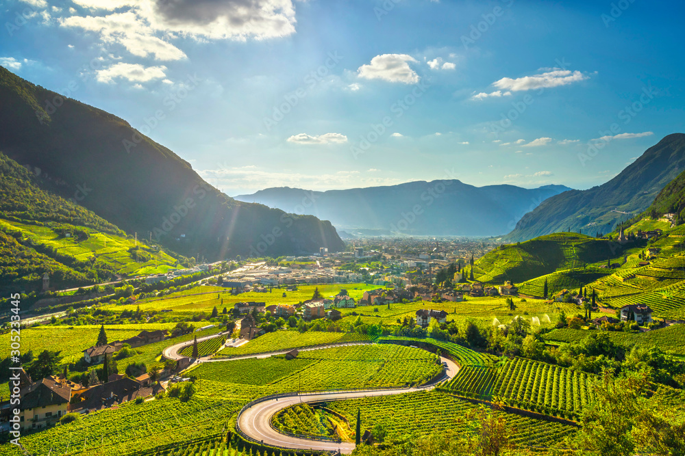 Vineyards view in Santa Maddalena Bolzano. Trentino Alto Adige Sud Tyrol, Italy. - obrazy, fototapety, plakaty 