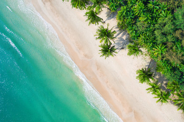 Wall Mural - aerial view beach with coconat palm trees and beautiful blue sea