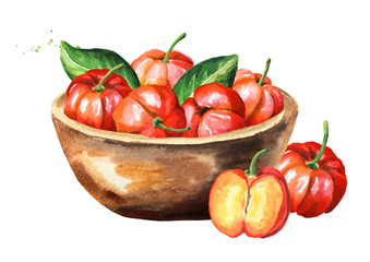 Wall Mural - Bowl with Fresh ripe Acerola Barbados cherry. Whole and cut fruits. Watercolor hand drawn illustration isolated on white background