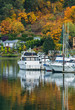 Boats docked in Gig Harbor with beautiful fall colors in the background