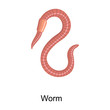 Earthworm vector icon.Cartoon vector icon isolated on white background earthworm.