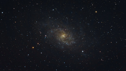 Wall Mural - The Triangulum Galaxy photographed from Vorderweidenthal in Germany.