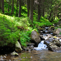 Landscape with mountains, forest and a river in front.