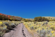 Hiking Trails In Oquirrh, Wasatch, Rocky Mountains In Utah Late Fall With Leaves. Panorama Forest Views Backpacking, Biking, Horseback Through Trees On The Yellow Fork And Rose Canyon By Salt Lake. 