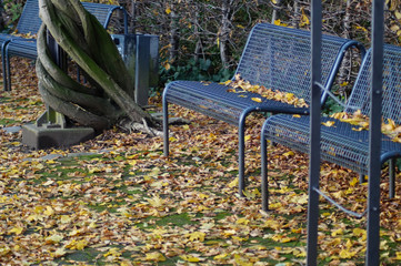 Wall Mural - Parkbänke im MüGa-Park in Mülheim an der Ruhr