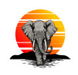 Bic elephant, front view, sunset on the background