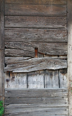 Wall Mural - old wooden planks with copper hats nails background