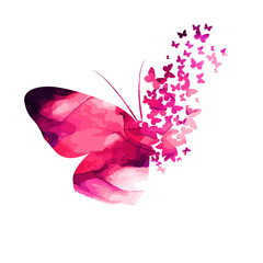 Wall Mural - Pink paint butterfly. Abstract mosaic of butterflies. Vector illustration