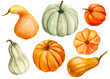 watercolor illustration, hand drawing, autumn set of elements on isolated white background, colored pumpkins 