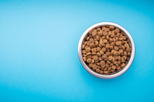 Dog Food In A Metal Bowl. Blue Background. Text Space
