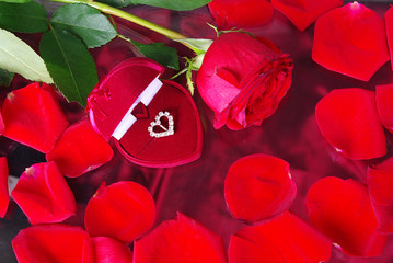 Wall Mural - Gift in a red box, red rose and rose petals. 