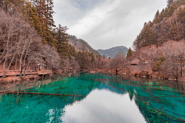  Beautiful crystal clear water lake view in Jiuzhaigou in Jiuzhai Valley National Park