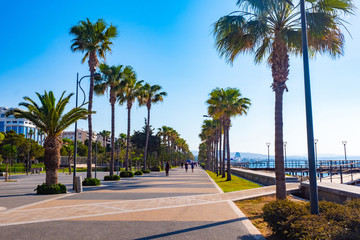 Wall Mural - Island of Cyprus. Limassol. Promenade Molos with palm trees. Walking part of Limassol. Mediterranean coast on a summer day. Pedestrian bridges over the water. Rest on the Mediterranean sea.