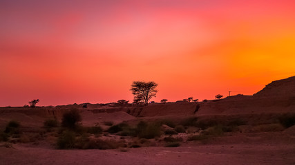 Wall Mural - Beautiful sunset view near in Riyadh Desert area Saudi Arabia.