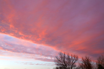 Wall Mural - trees silhouette and dramatic cloud sky during sunset