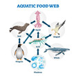 © VectorMine - Aquatic food web vector illustration. Labeled educational water life scheme
