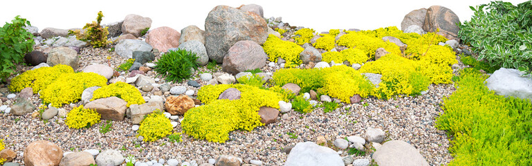 panorama of rockery rock garden isolated on white background