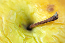 Yellow Wrinkled Apple  Background, Shrivelled Apple Closeup, Old Skin Concept