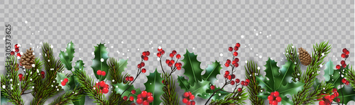 Fotomural Isolated winter Christmas nature banner