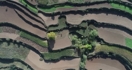 Wall Mural - aerial view of  terraced fields and village from above. Qinghai, China