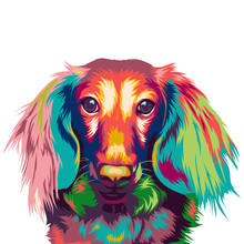  Dachshund Dog In Colorful Vector