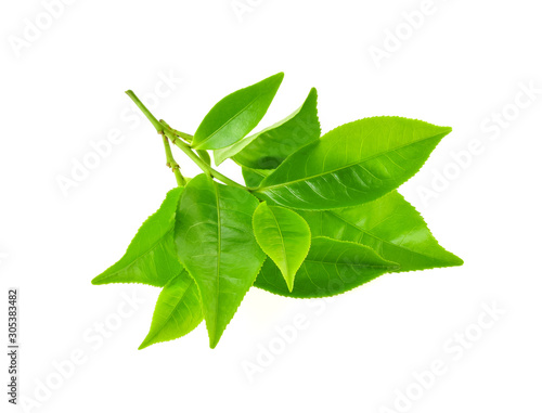 Fototapeta na drzwi i meble Green tea leaf isolated on white background