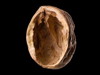 Wall Mural - Macro photo of empty shell of walnut isolated on a black with clipping path