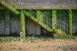 Mossed concrete steps to the foreshore of river Thames in London