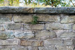 Mauer aus Naturstein mit Fugen aus Mörtel und  Abschlußkante dahinter schmaler Streifen mit Natur  Hintergrund
