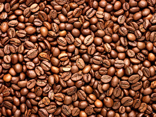 Wall Mural - coffee bean brown roasted caffeine espresso seed