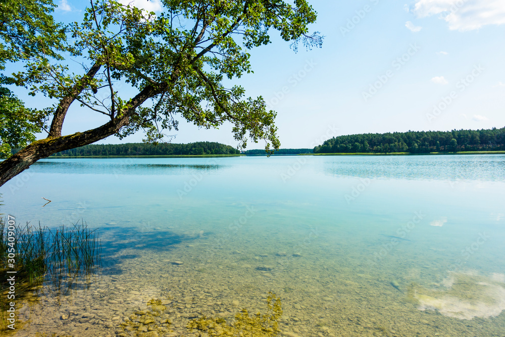 Obraz Jezioro lazurowe las turkusowe drzewa plaża wdzydze fototapeta, plakat