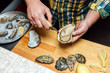 Fresh oyster held open with a oyster knife. close-up of the process of shucking oysters at the restaurant, focus on a man hands