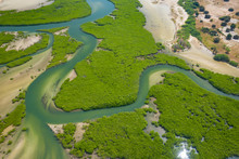 Aerial View Of Mangrove Forest In The  Saloum Delta National Park, Joal Fadiout, Senegal. Photo Made By Drone From Above. Africa Natural Landscape.