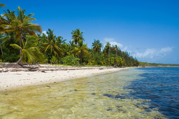 Sticker - Palm trees on wild coast of Sargasso sea, Punta Cana, Dominican Republic