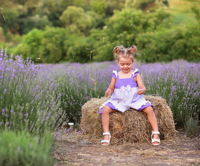 baby in a lilac dress plays hay in a lavender field