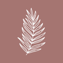 Branch With Leaves Of Tropical Plants. Outline Palm Leaf In A Modern Minimalist Style. Vector Illustration.