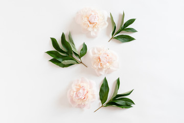 Wall Mural - floral composition with pink peonies and green leaves