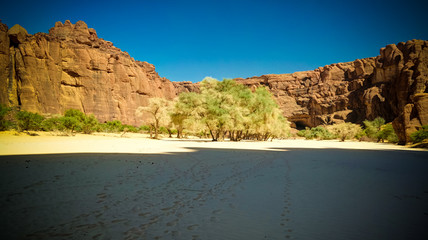 Panorama inside canyon aka Guelta d'Archei in East Ennedi, Chad