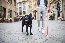 Unrecognizable Young Blind Man With White Cane And Guide Dog In City.