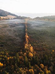 Wall Mural - Aerial view of beautiful foggy forest with yellow trees at sunrise in autumn.