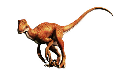 Aufkleber - Deinonychus is a theropod dinosaur, a cousin of velociraptor, that lived during the Cretaceous. Here depicted with no feathers on a White Background. 3D Rendering