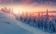 Winter Panorama Landscape With Forest, Trees Covered Snow And Sunrise. Winterly Morning Of A New Day. Purple Winter Landscape With Sunset, Panoramic View