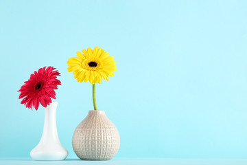 Wall Mural - Ceramic vases with gerbera flowers on blue background