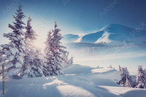 Fotomural Majestic Carpathian Mountains in winter