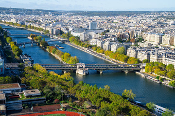 Wall Mural - Seine river bank with green trees on sunny summer day