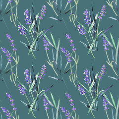 Wall Mural - Watercolor floral pattern, lavender, wildflowers, garden grass, leaves. Botanical painting, stock illustration.