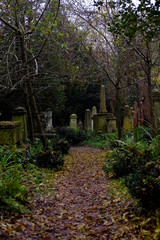 Canvas Print - cemetery