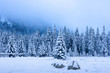 Winter forest in snowy mountains. Scenic frosty nature. Christmas trees covered by snow in mountain valley